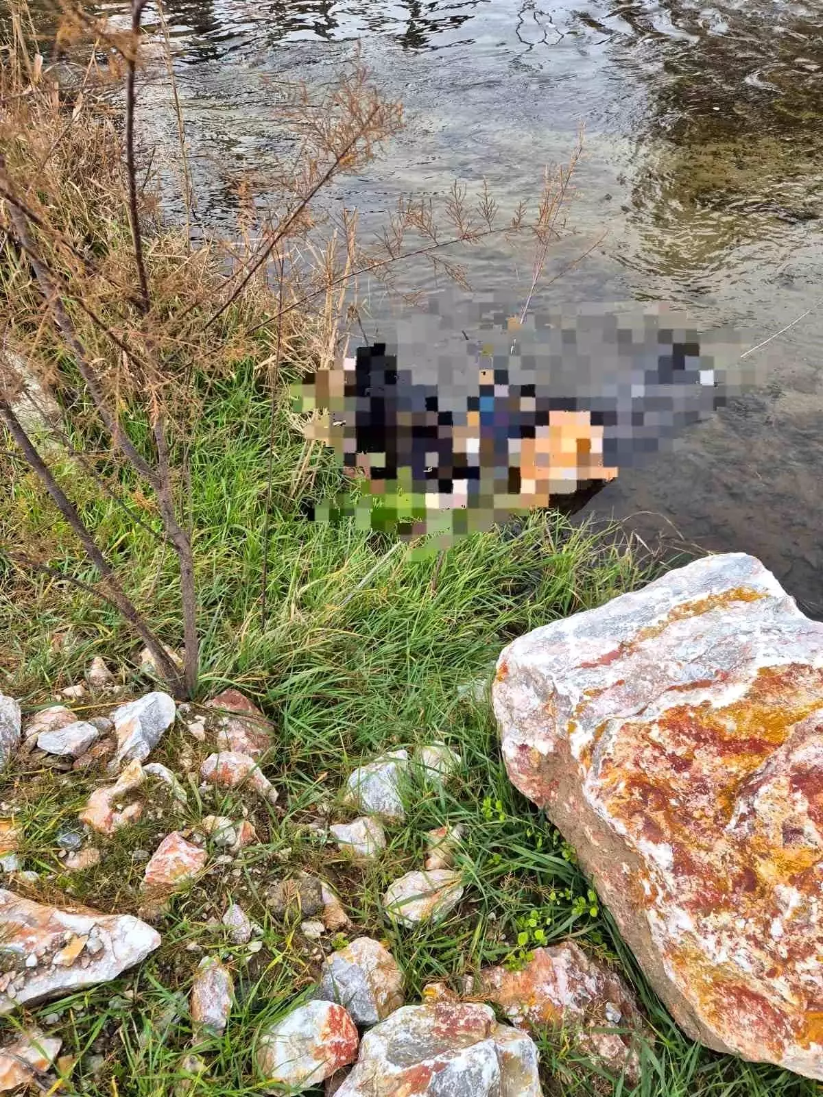 Trenin geçtiği köprüde hayatını kaybetti