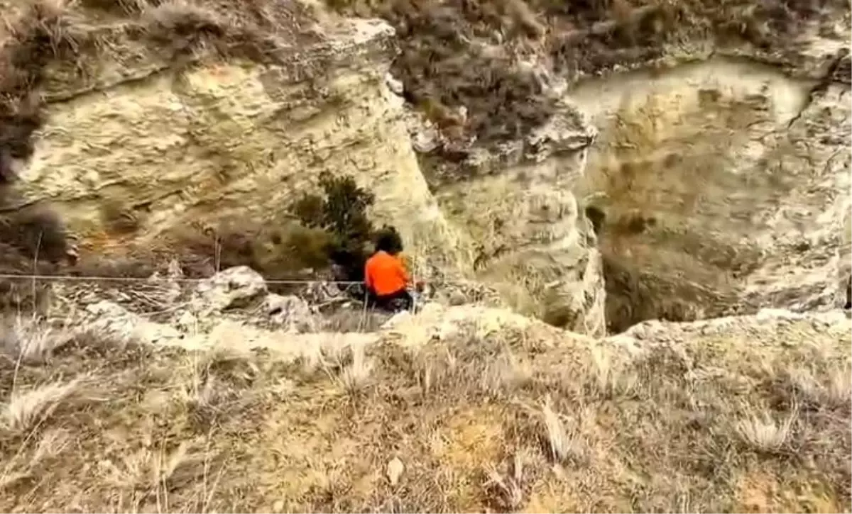 Uçurumda mahsur kalan köpeklerini halatla inerek kendi imkanlarıyla kurtardılar