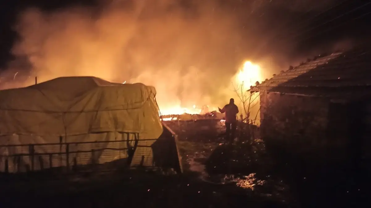 Balıkesir'de evde çıkan yangında 1 kişi yaralandı