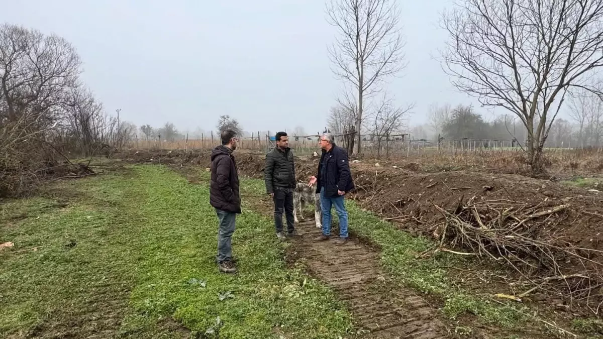 Bilecik'te taşkın riskine karşı dere ıslahı