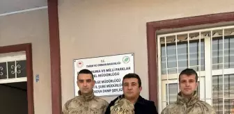Hakkari'de jandarmanın bulduğu yaralı puhu tedaviye alındı