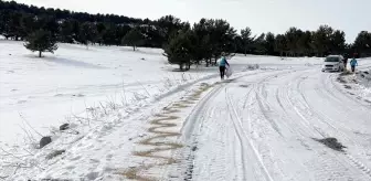 Kars'ta yaban hayvanları için karla kaplı doğaya yiyecek bırakıldı