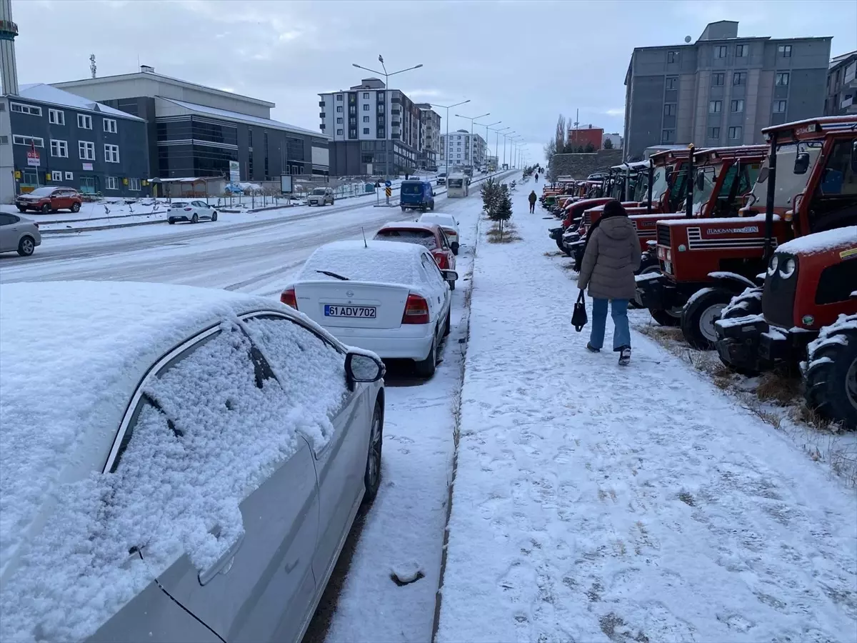 Kars ve Ardahan'da kar etkili oldu
