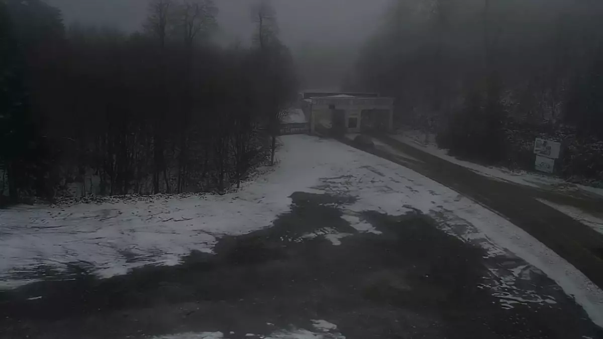 Kartepe'de kar ve sis