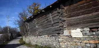 Roma dönemine ait tapınaktaki kabartmalı taşlar köydeki eski yapıları süslüyor