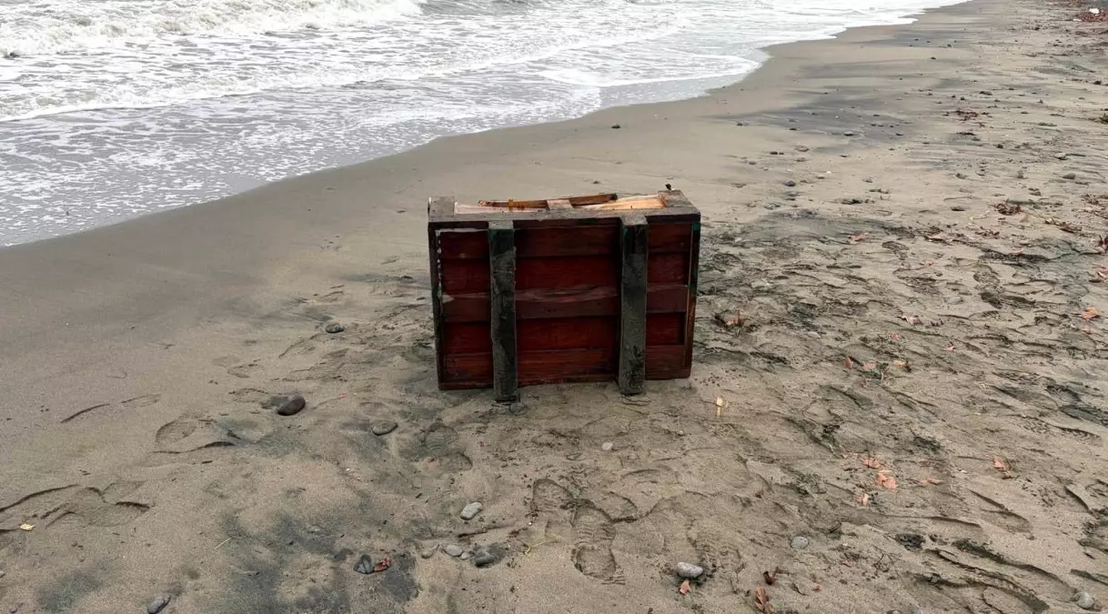 Samsun'da sahile vuran sandık incelemeye alındı