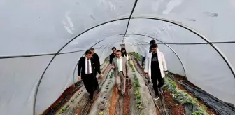 Tarım lisesinde üretilen mantarın hasadı yapıldı