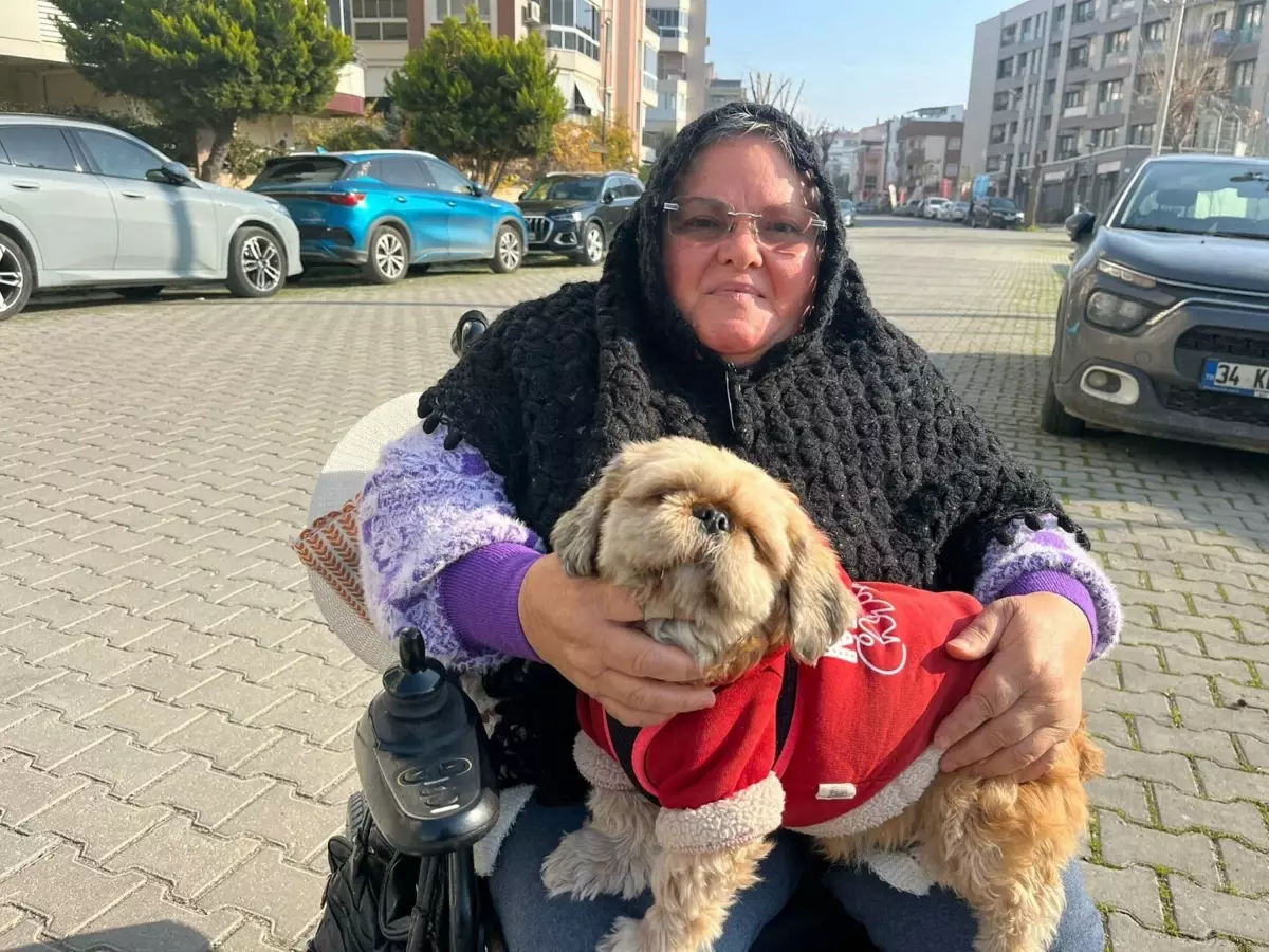 Yürüme yetisi sonrası eşini de kaybetti; can dostu 'Fıstık' ile hayata tutundu