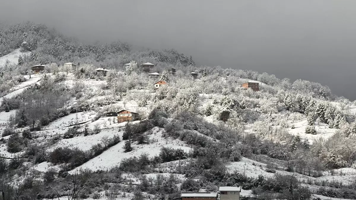 Bartın'da kar yağışı nedeniyle 5 köy yolu ulaşıma kapandı