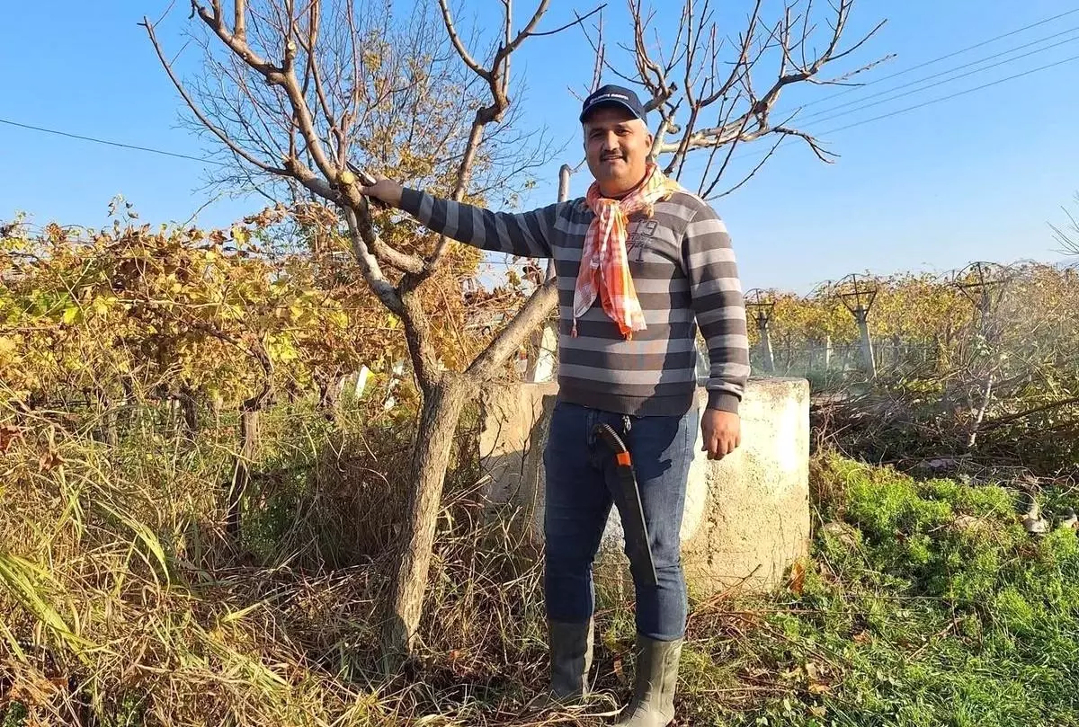 Çiftçinin mesaisi kışın da sürüyor