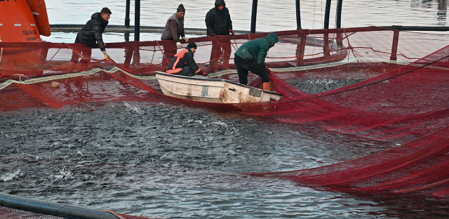 Produced in a landlocked province and sold to Russia and Japan