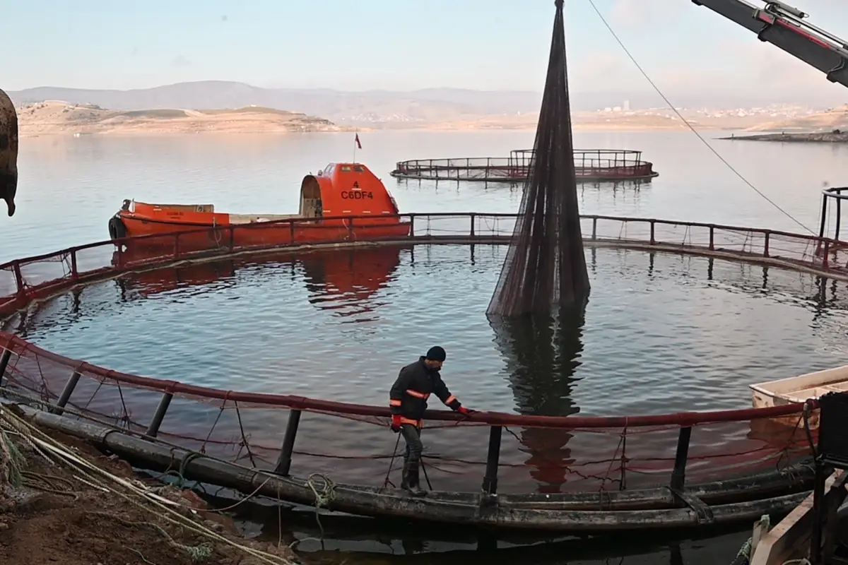 Denizi olmayan ilde üretilip Rusya ve Japonya'ya satıyor