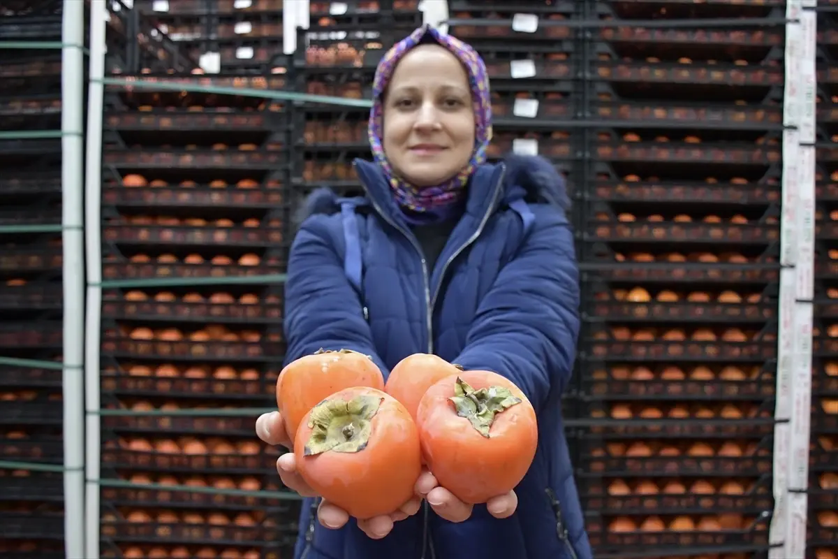 Kadın girişimci devlet desteğiyle kurduğu soğuk hava deposunda köylülerin meyvelerini saklıyor