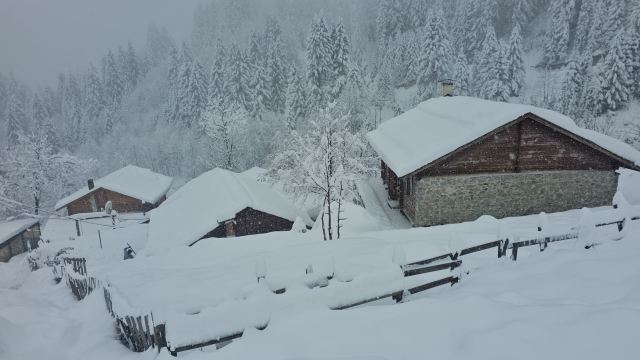 Severe winter has officially set in! City centers have turned white, and access to dozens of villages is blocked