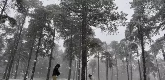 Karadeniz'de kar etkili oldu