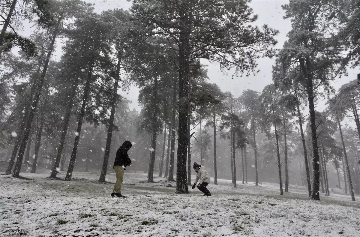 Karadeniz'de kar etkili oldu