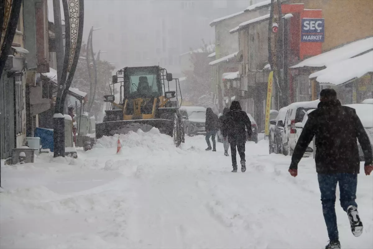 Karlıova'da kar yağışı etkili oldu