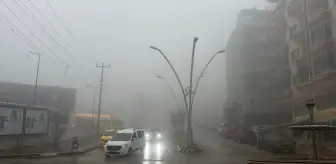 Mardin'de yağmur ve sis etkili oldu