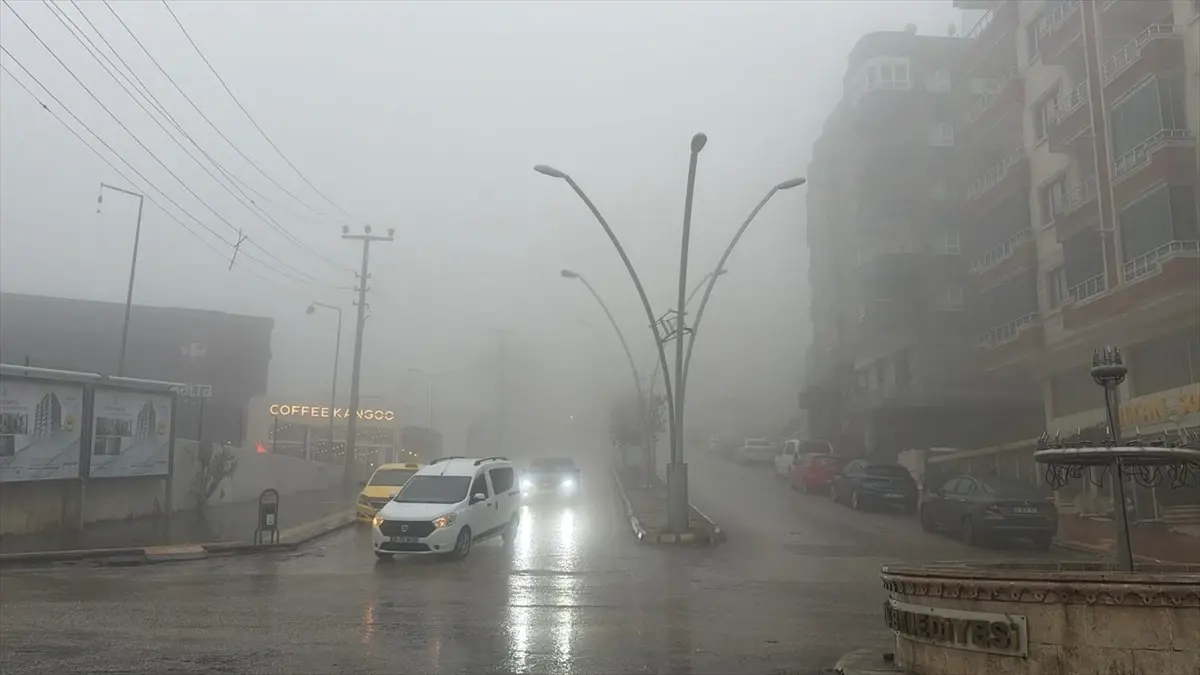 Mardin'de yağmur ve sis etkili oldu