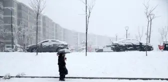 Muş'ta kar ulaşımı aksattı