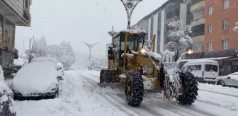 Van, Hakkari, Bitlis ve Muş'ta kar nedeniyle 423 yerleşim yerine ulaşım sağlanamıyor