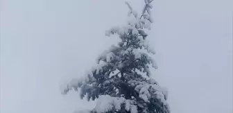 Yeşilyurt'ta kar yağışı etkili oldu