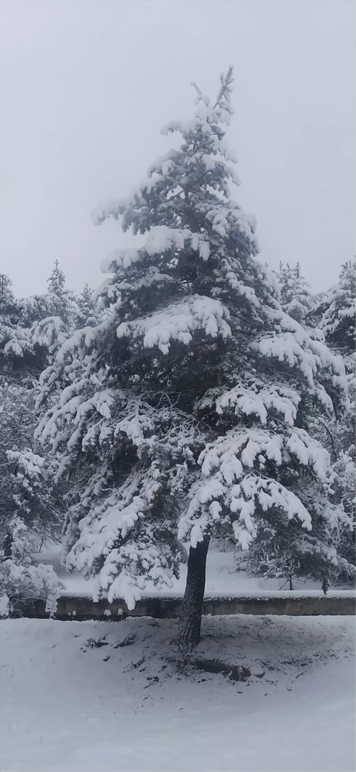 Yeşilyurt'ta kar yağışı etkili oldu