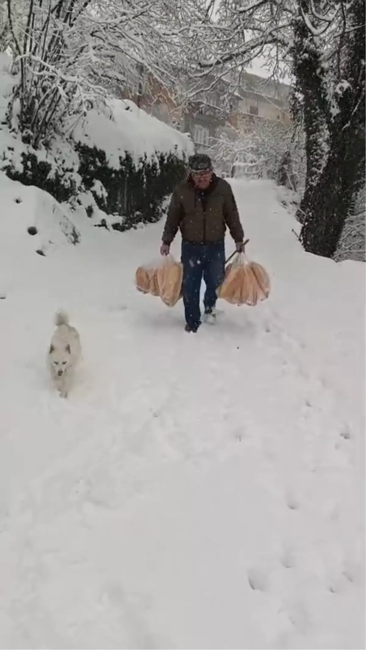 Yolu kar nedeniyle kapanan köyüne ekmek taşıdı