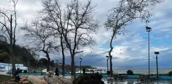 Zonguldak ve Düzce'de kuvvetli rüzgar hayatı olumsuz etkiledi