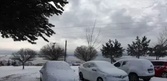Ahlat kar yağışıyla beyaza büründü