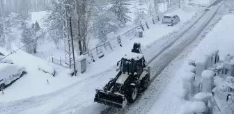 Bahçesaray'da etkili olan kar yaşamı olumsuz etkiledi