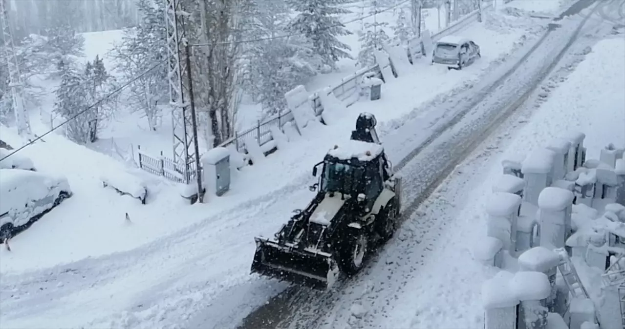 Bahçesaray'da etkili olan kar yaşamı olumsuz etkiledi