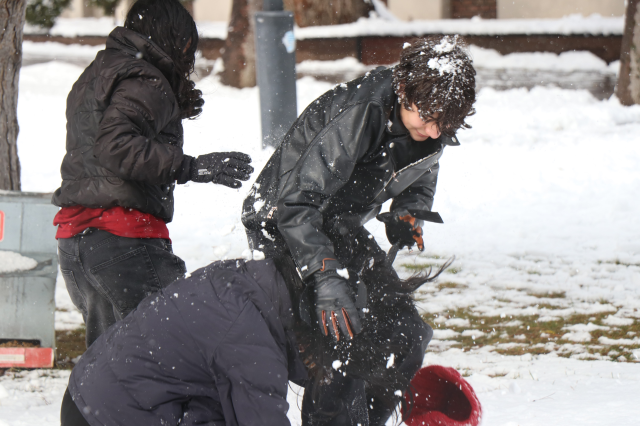 تم تعليق التعليم ليوم واحد بسبب تساقط الثلوج في العديد من المدن والمناطق