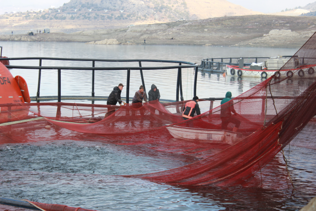 تم تربيته في وسط السهوب، وذهب إلى روسيا واليابان