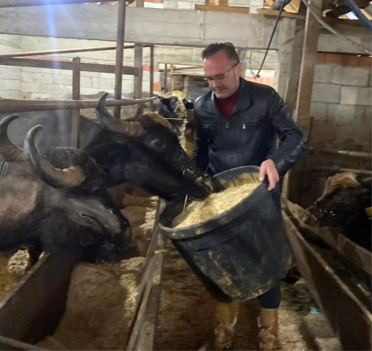 Giresun'da 286 manda işletmesine 12,3 milyon TL destek