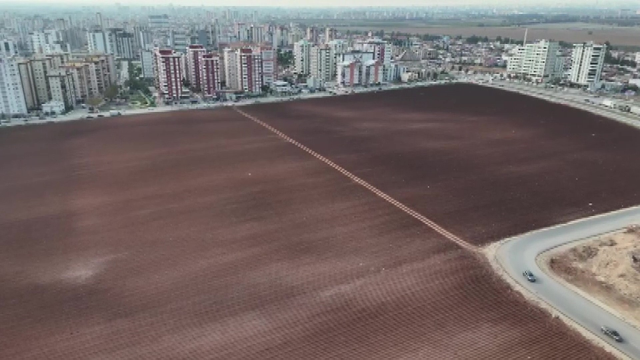 لقد قاوم بينما كان الجميع يبيع، واستمر في الزراعة في وسط الخرسانة