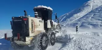 Iğdır'da ulaşıma kapanan 24 köye yeniden ulaşım sağlandı