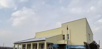 Iğdır'daki sahipsiz köpek sorunu büyük ölçüde çözüldü