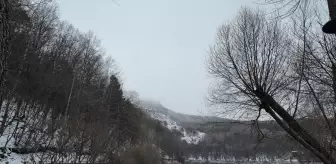 Karagöl'e mevsimin ilk karı yağdı