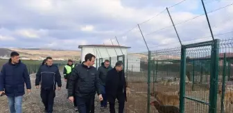 Kırklareli'nden kısa kısa