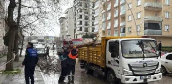 Kocaeli'de rüzgar nedeniyle kırılan ağaç dalları 2 araca zarar verdi