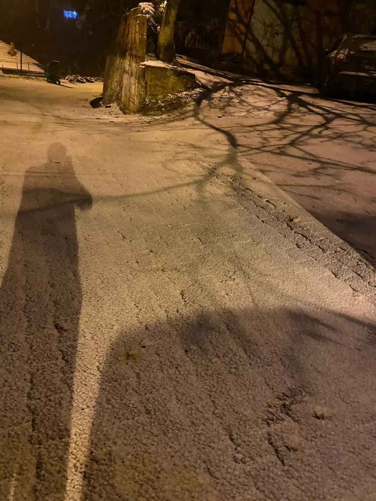 Manisa'da kar yağışı etkili oldu