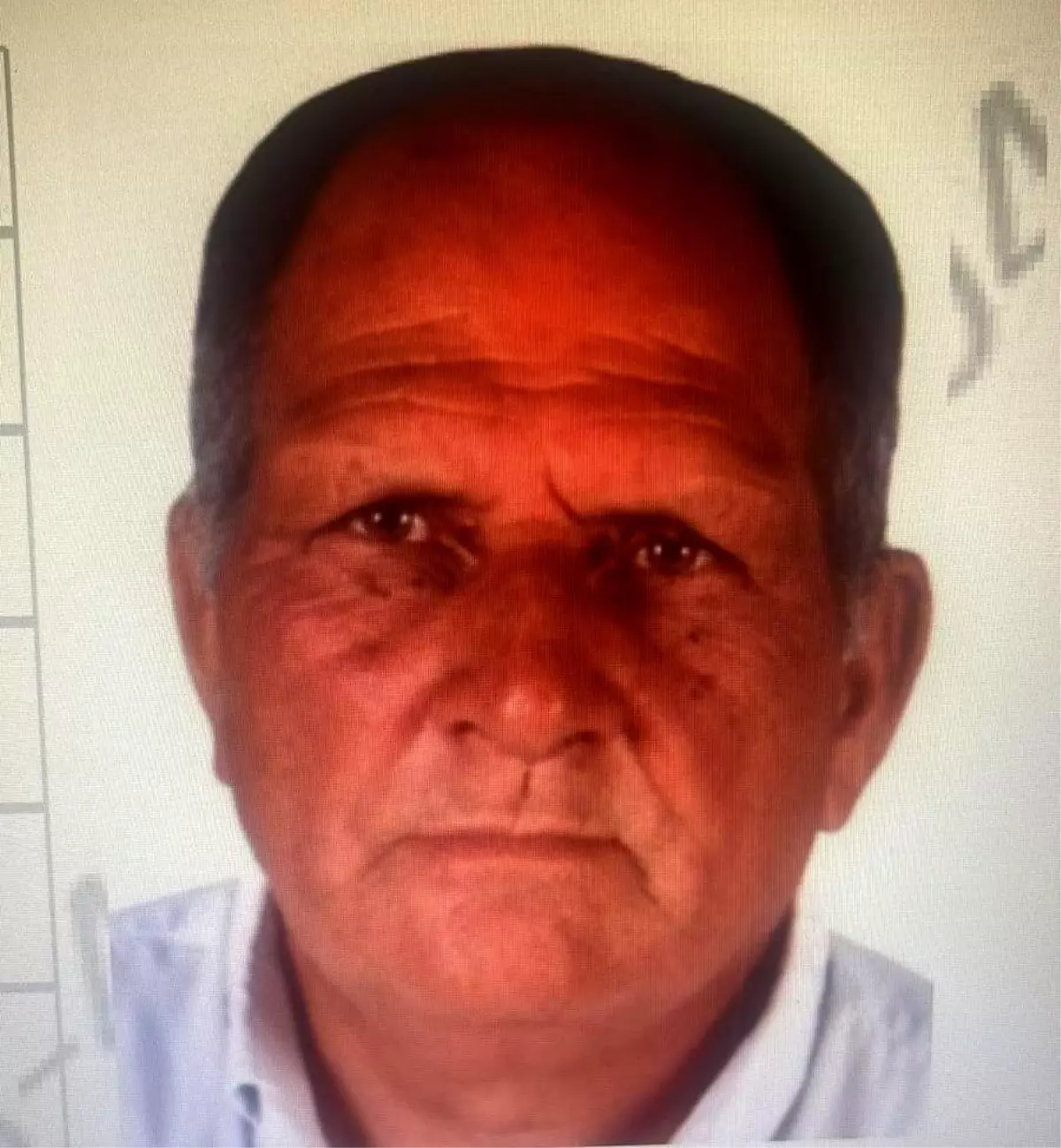 Milas'ta mantar ararken kaybolan 70 yaşındaki adamı arama çalışmaları sürüyor