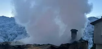 Rize'de çıkan yangında 2 ev kullanılamaz hale geldi