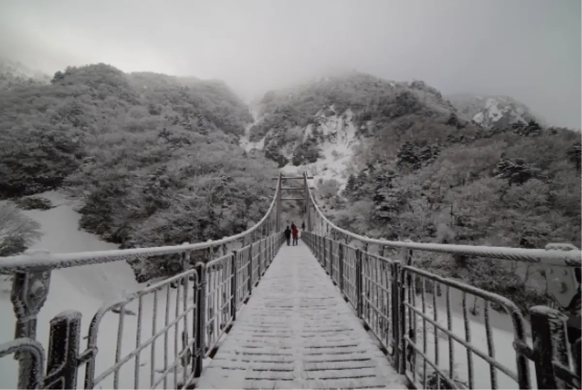 Sinop okullar tatil mi? 29 Aralık Pazartesi yarın Sinop'ta okul yok mu (KAR TATİLİ – SİNOP VALİLİĞİ)?