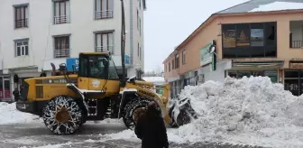 Şırnak, Siirt, Elazığ ve Bingöl'de kar nedeniyle 269 yerleşim yerine ulaşım sağlanamıyor