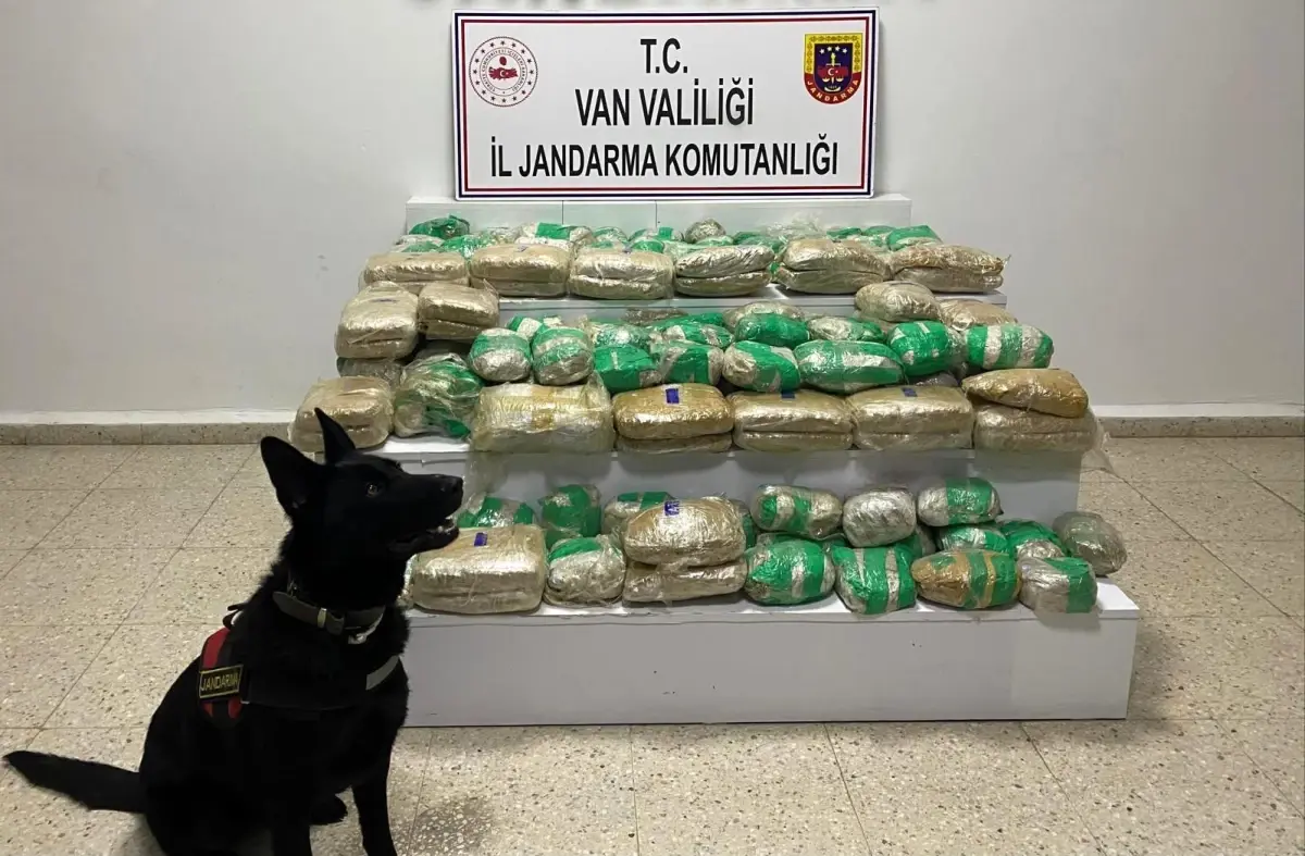 Van'da 51 kilo skunk ele geçirildi