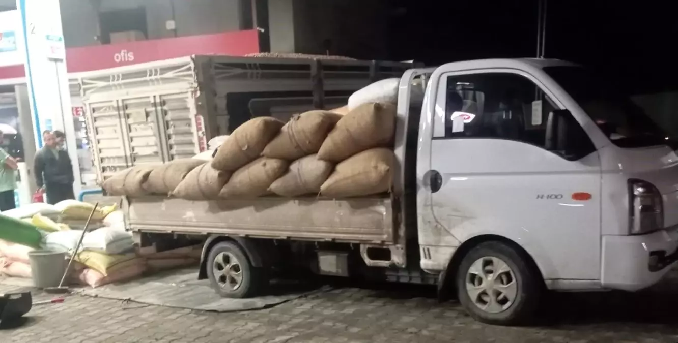 Yılbaşına günler kala fındık fiyatları yükselişe geçti