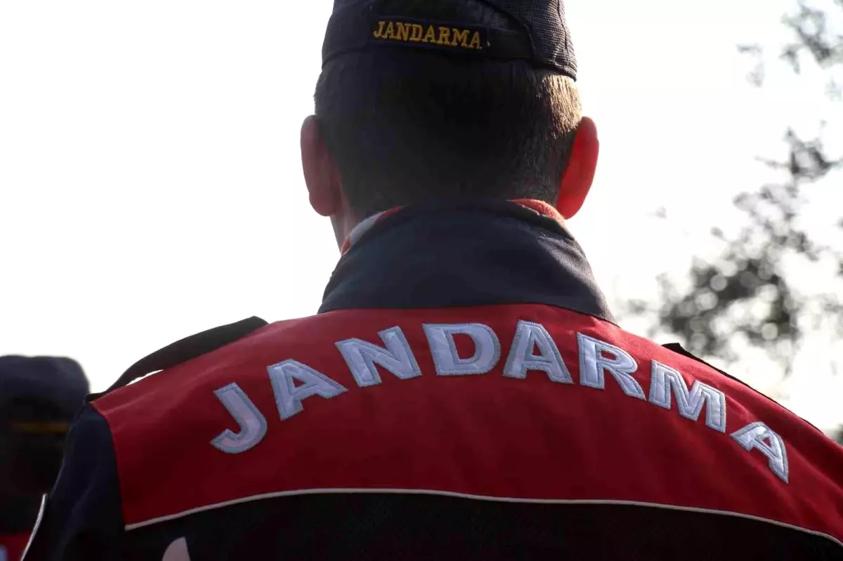 Aydın'da jandarma ekipleri tarafından bir haftada 232 kişi yakalandı