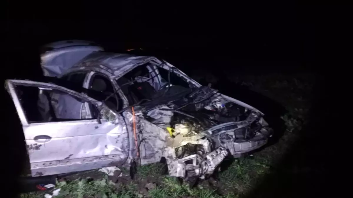 Bandırma'da otomobil domuza çarpıp takla attı: 1 ölü, 1 yaralı